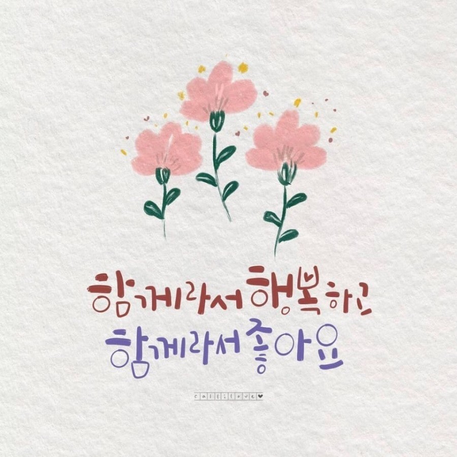 다미락 이미지