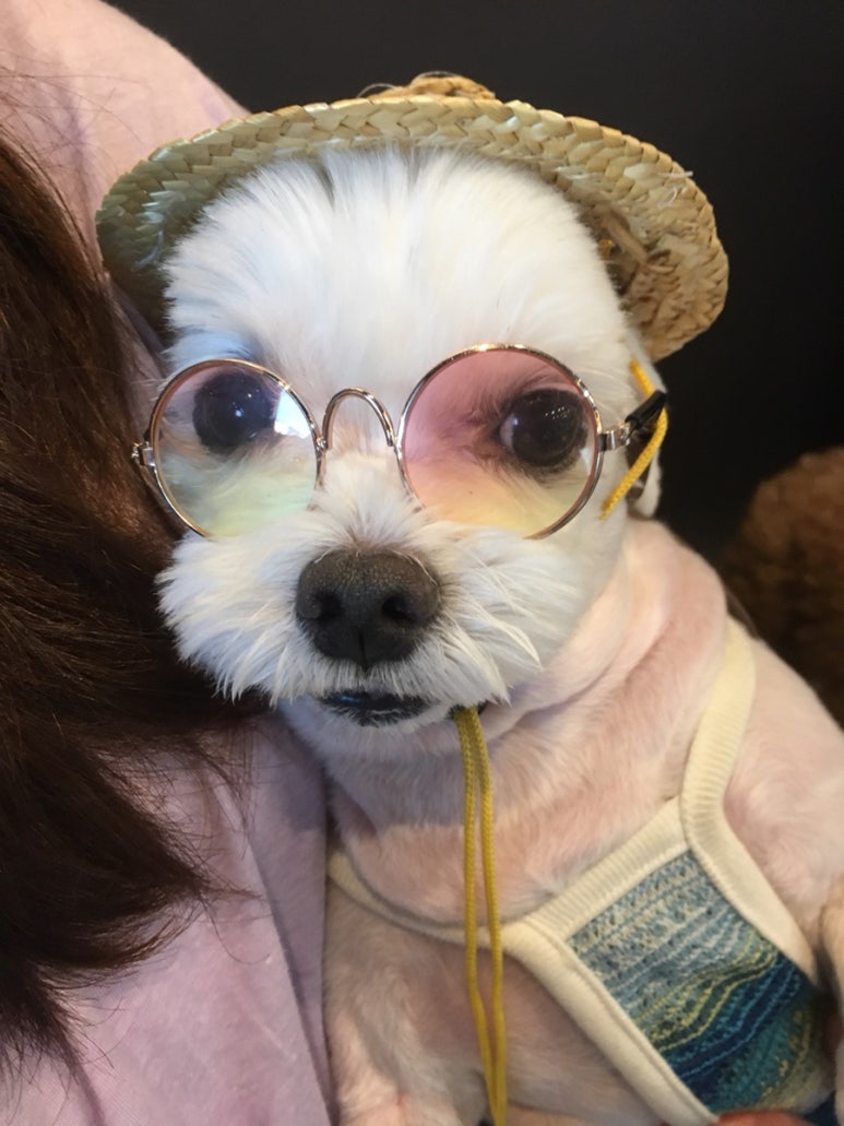 본추자횟집 이미지