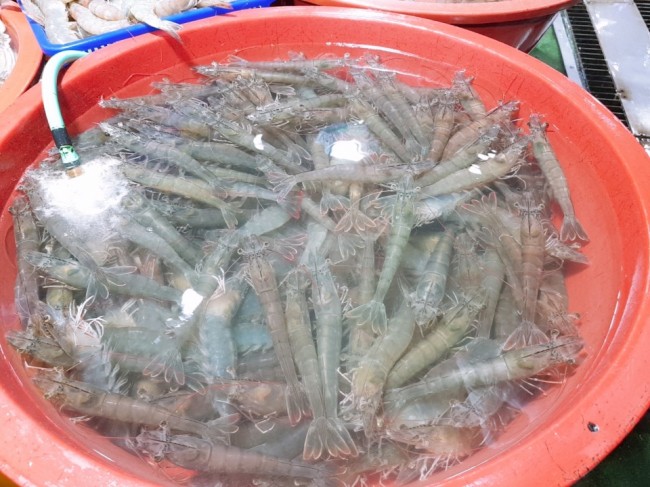 대하상회 이미지