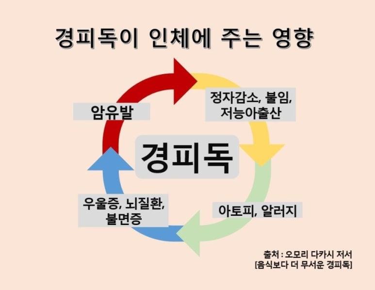 초이테라피 이미지