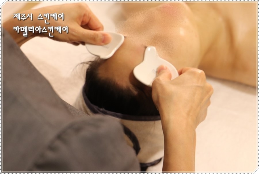 카멜리아스킨케어 이미지