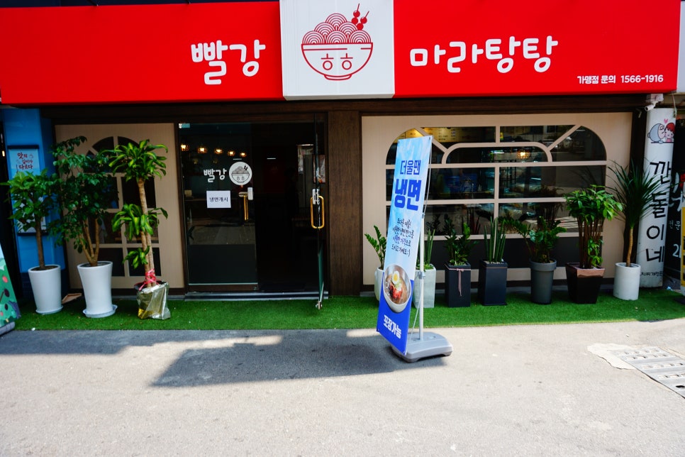 빨강홍 이미지