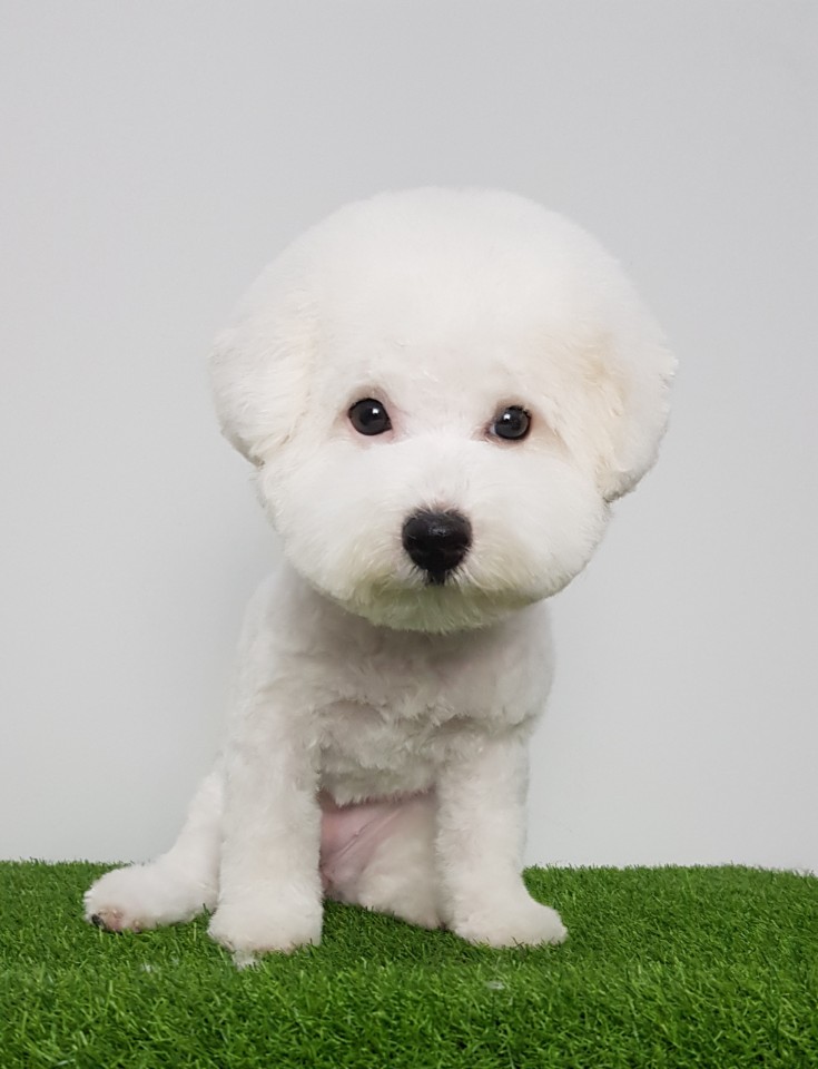 파리바게뜨수원탑동 이미지