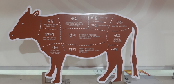 텐더러스 이미지