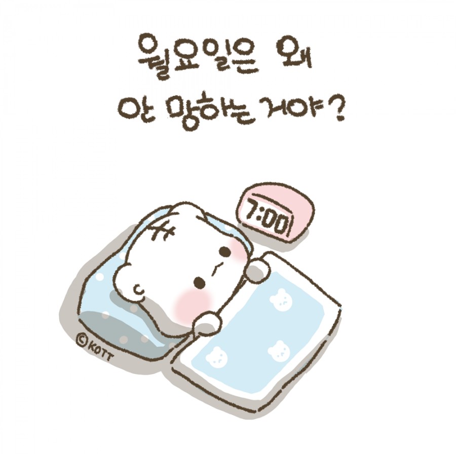 스튜디오코뜨 이미지