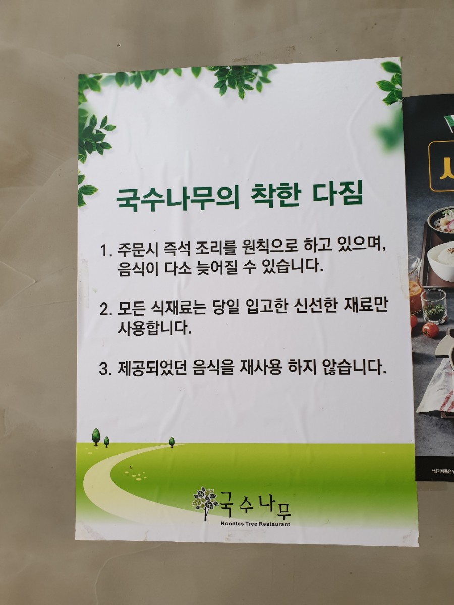 국수나무효자 이미지
