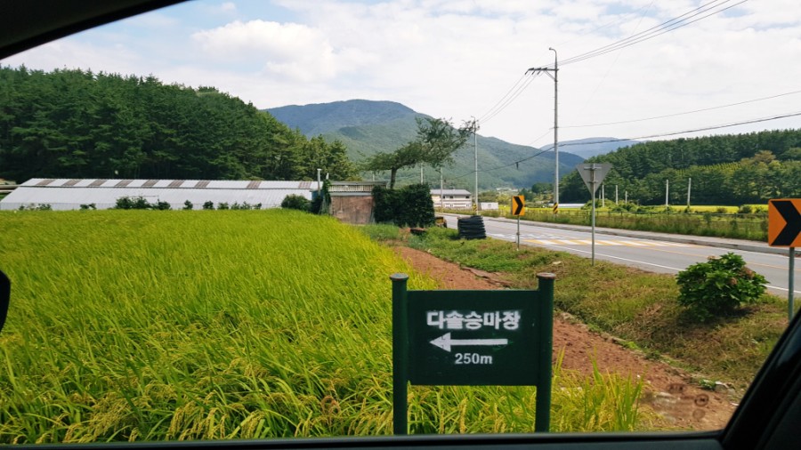 다솔에가다 이미지