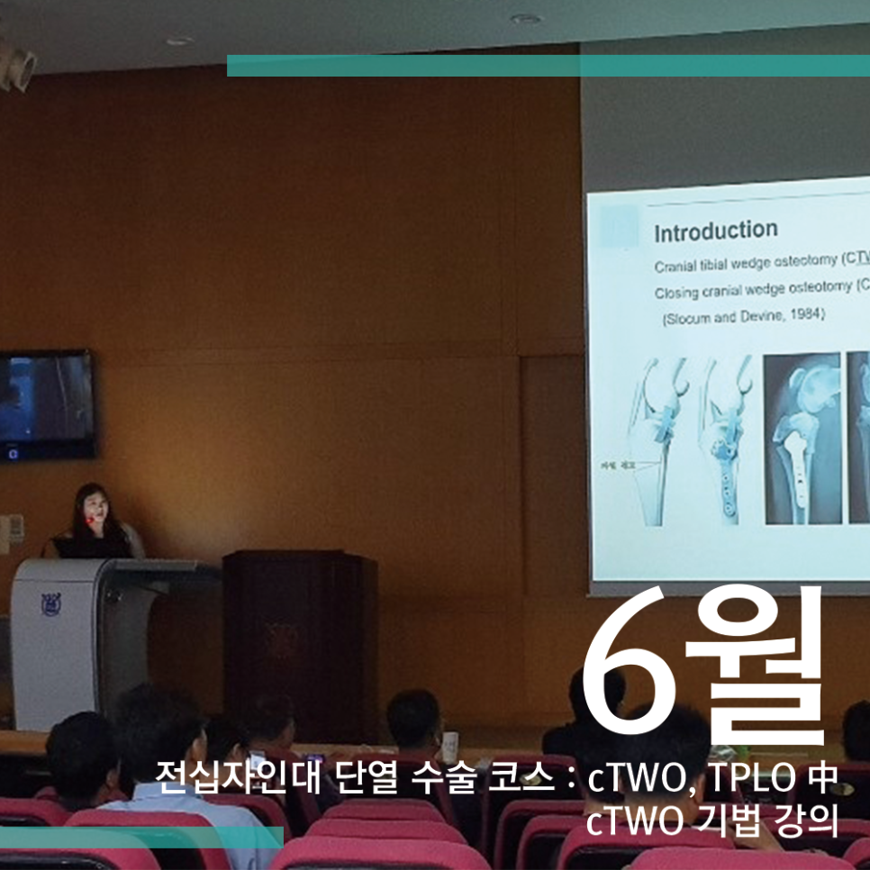 수의골관절학회 이미지