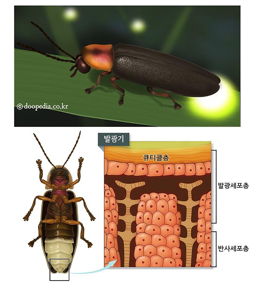 별밤민속 이미지