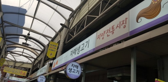 자매생고기 이미지
