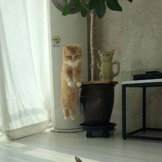 그리고과수원 이미지