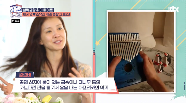 하이망고 이미지