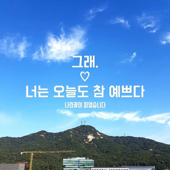 오늘도너는예쁘다 이미지