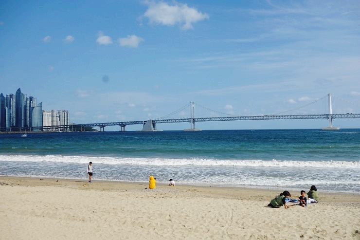 오단꼬마김밥 이미지