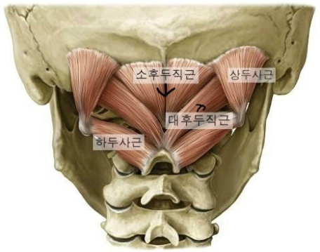 똑똑한몸만들기 이미지