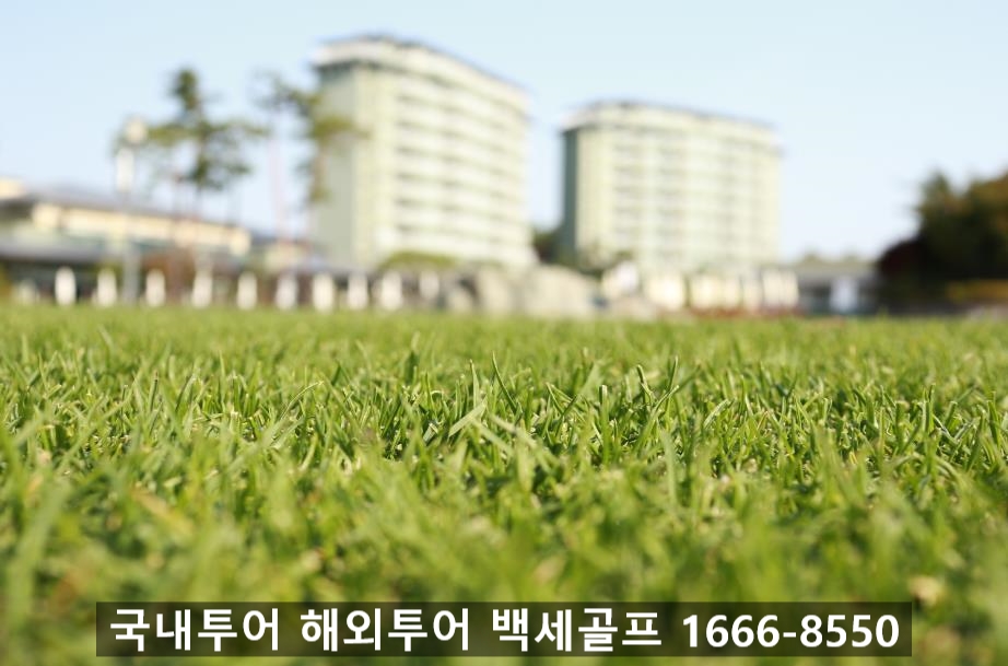 백세투어 이미지