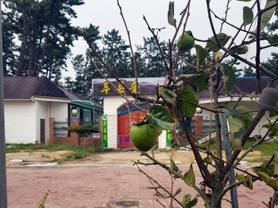 푸른솔민박 이미지