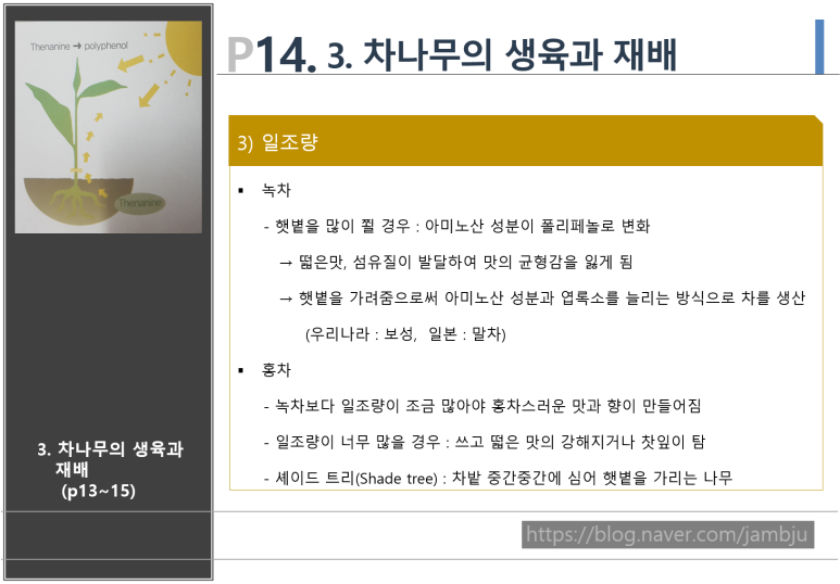 차샘정읍 이미지