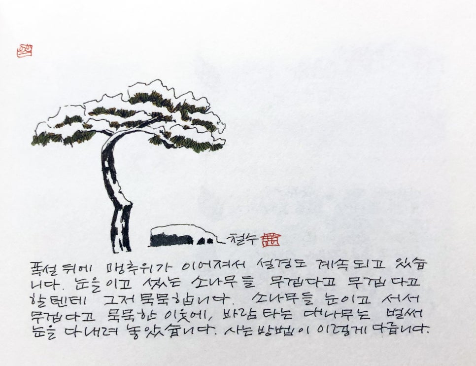 사는동안꽃처럼 이미지