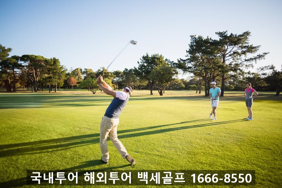 백세투어 이미지