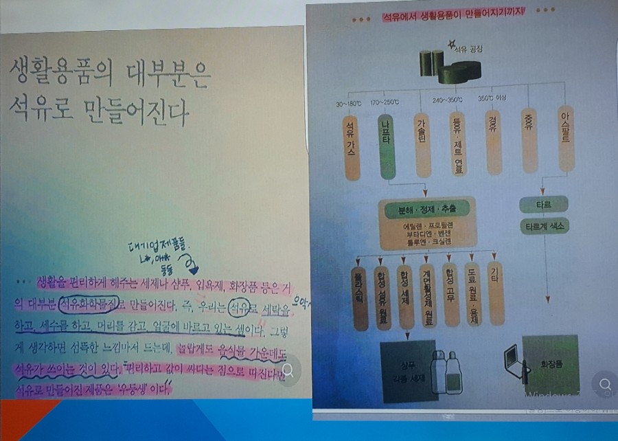 엘샤론 코리아 이미지