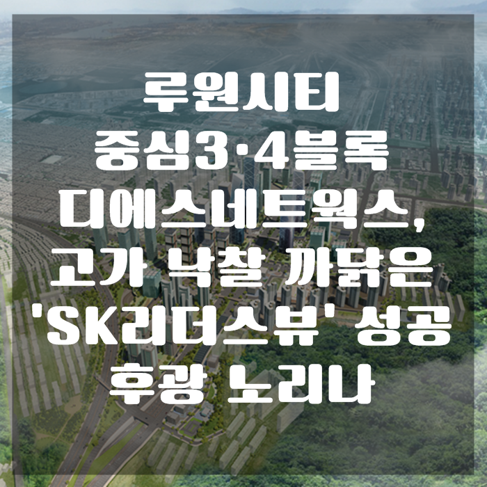디에스네트웍스 이미지