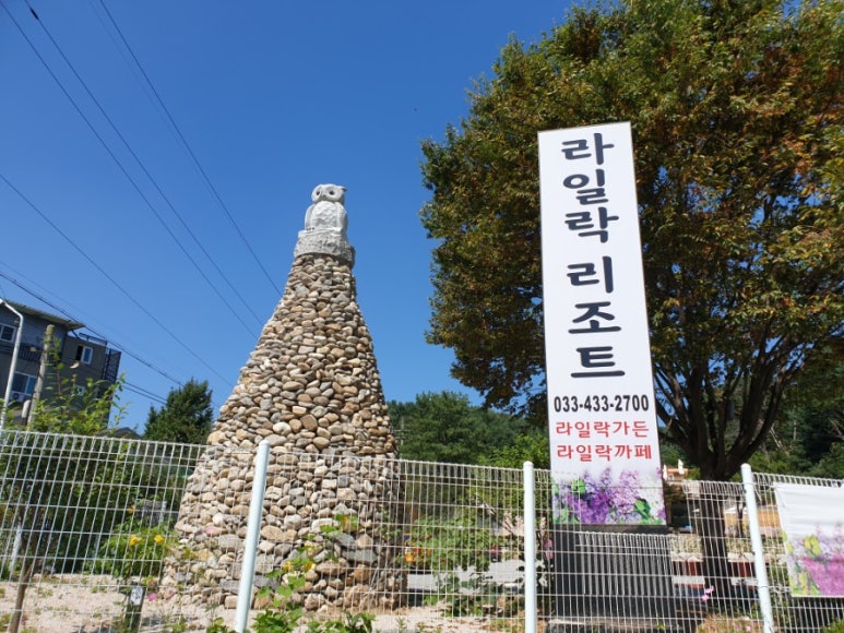 라일락카페라일락리조트 이미지