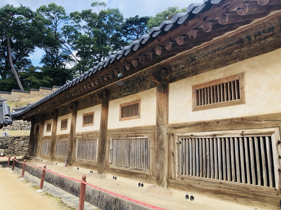 콩드립로스터스 이미지