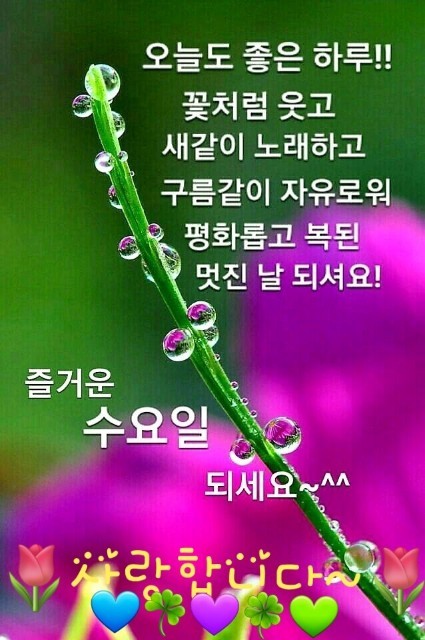 낙원족발 이미지
