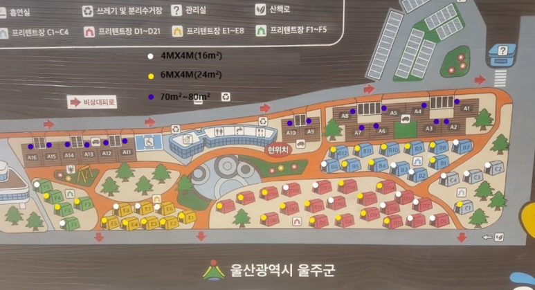 하나레포츠 이미지