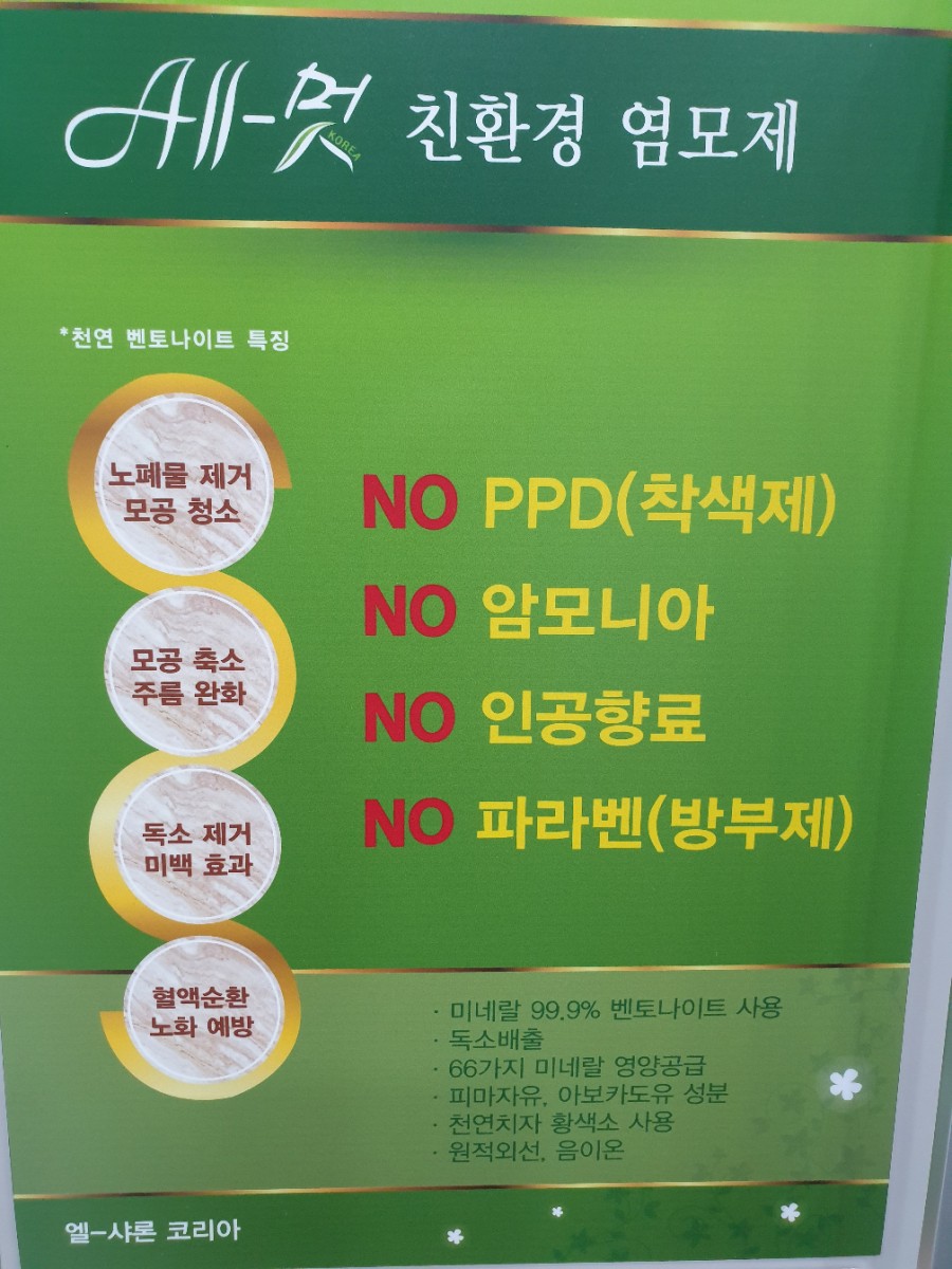 엘샤론 코리아 이미지