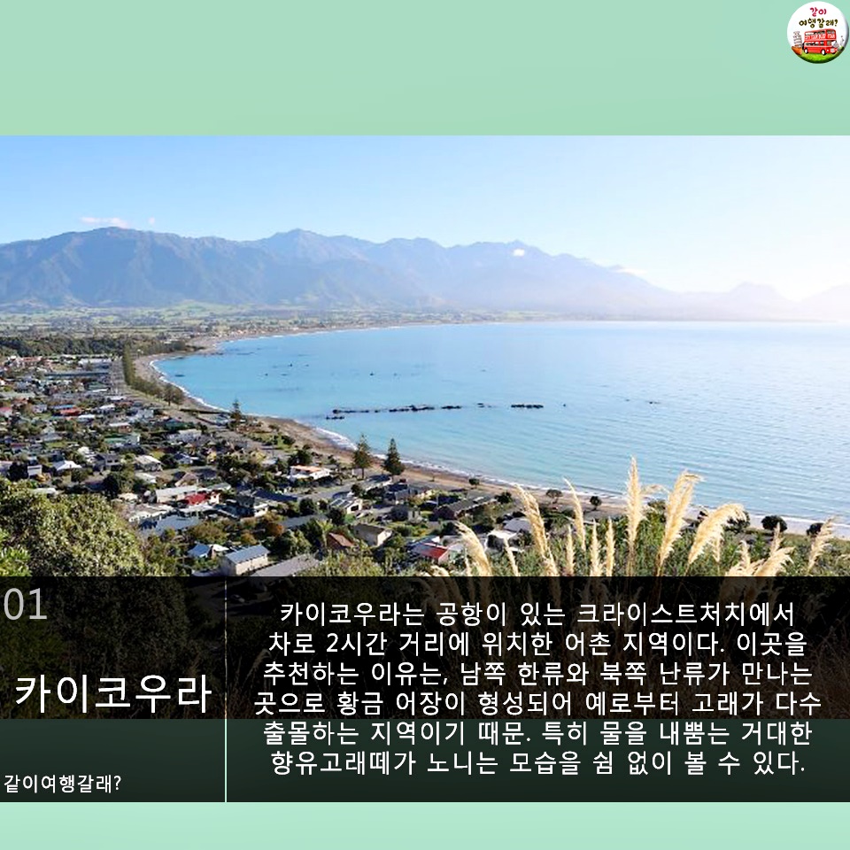 청정한 뉴질랜드 이미지