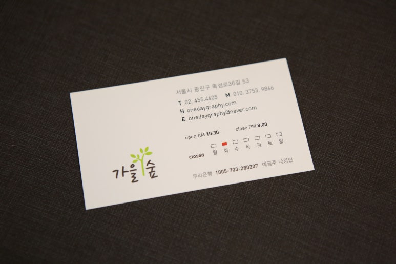 데이그래피 이미지