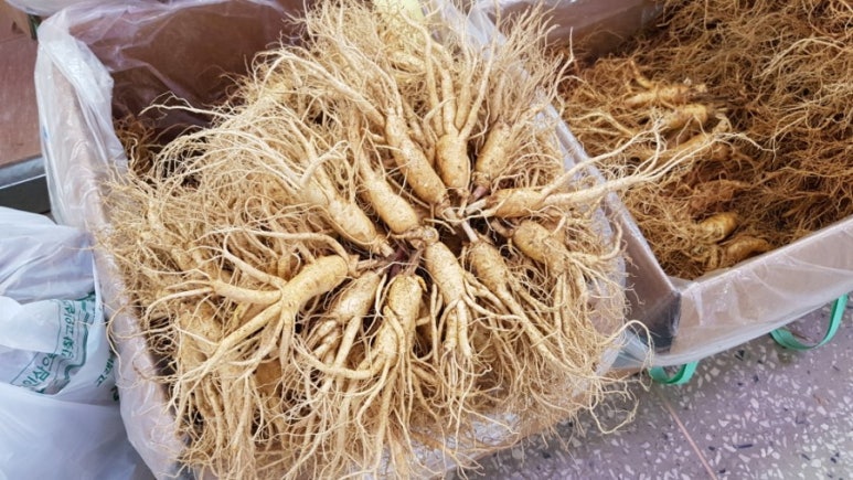 금산수삼시장(주) 이미지