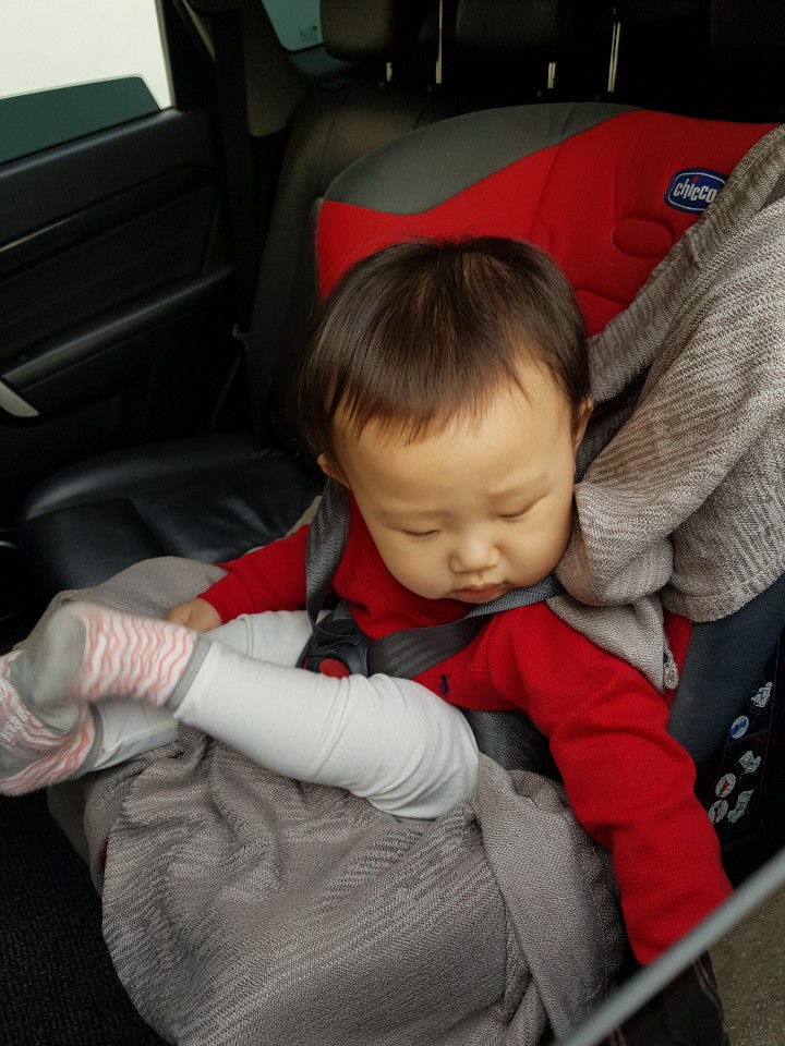유나이모네 이미지