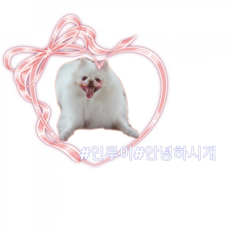 얼음골칡냉면 이미지