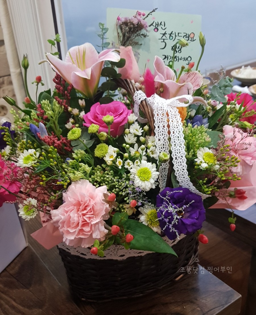 꼬시랑 이미지
