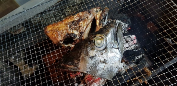 정치망민박 이미지