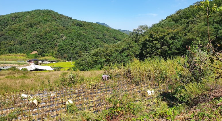석송농장 이미지