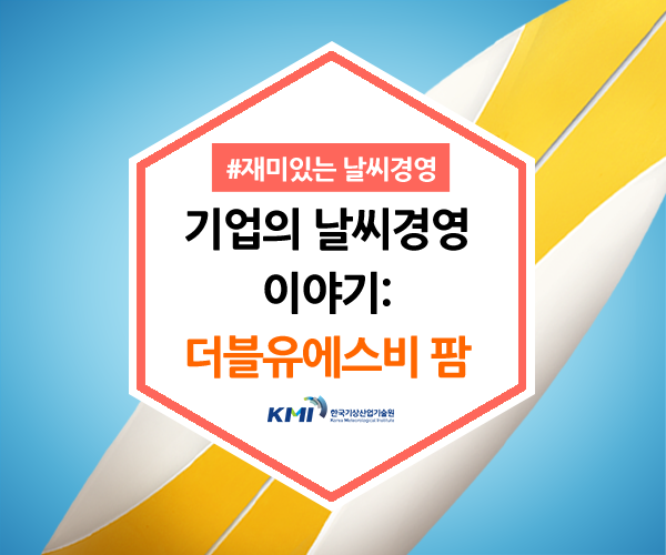 에스비미디어 이미지
