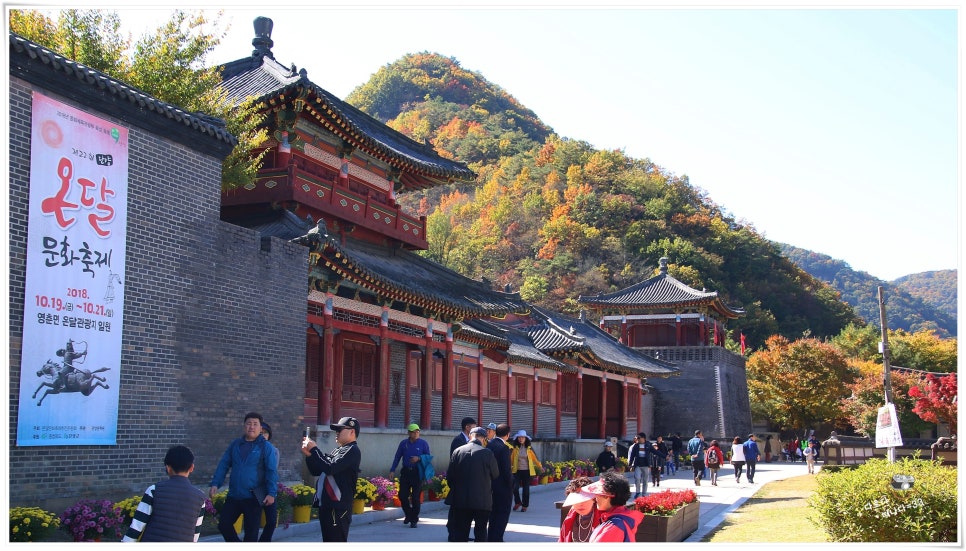 달달온달 이미지