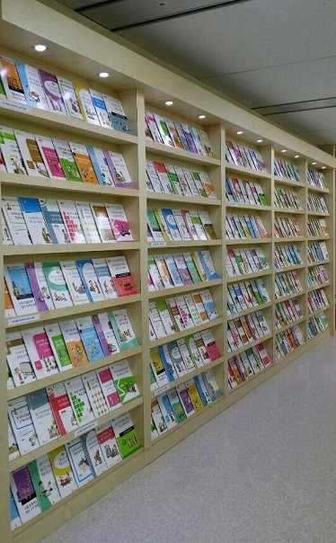 비버코딩 이미지