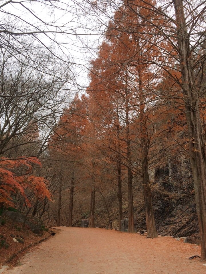 금산여관 이미지