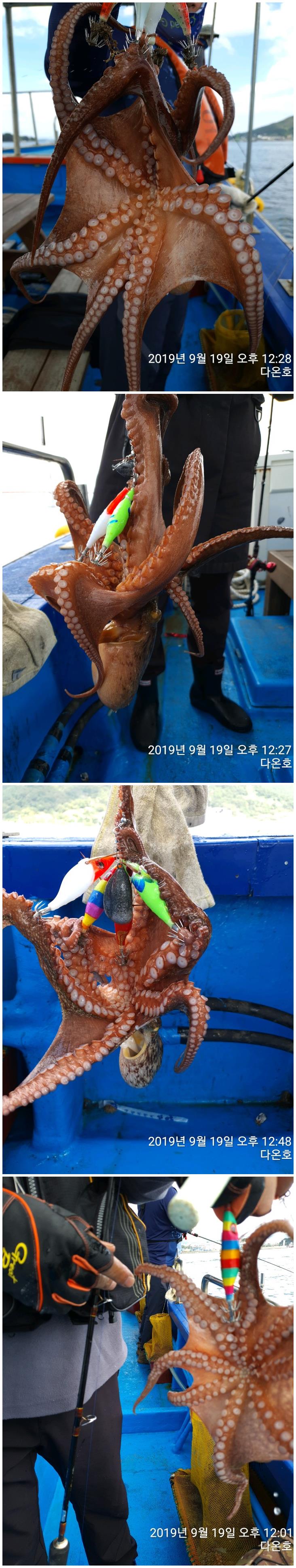 갈도풍력 이미지