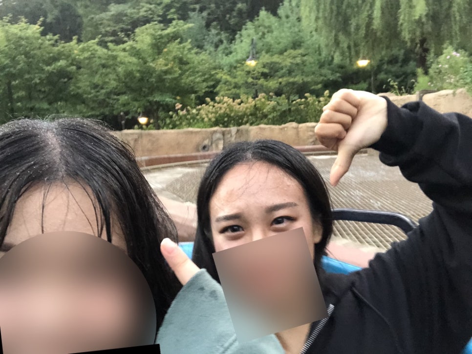디메이즈 이미지