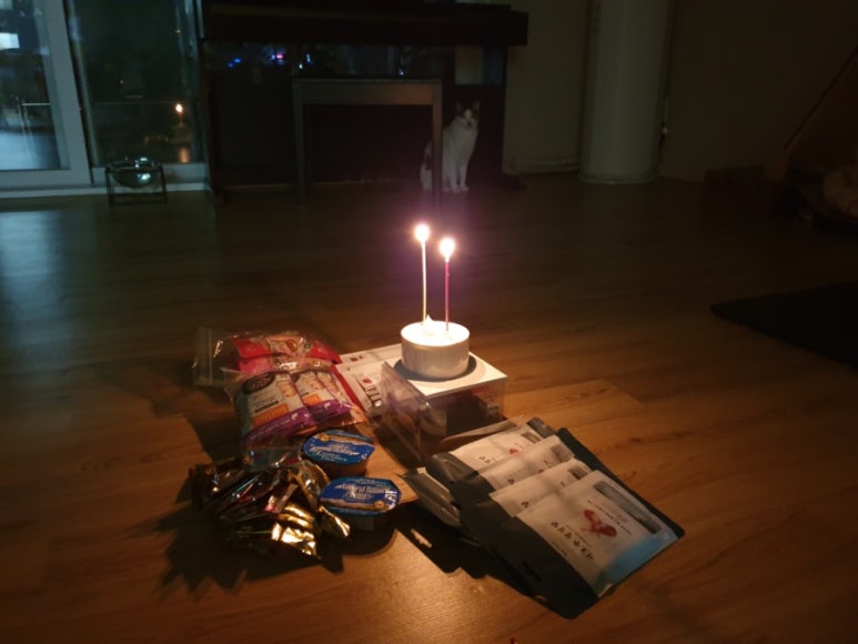 더꾼 이미지