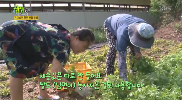 황소집 이미지