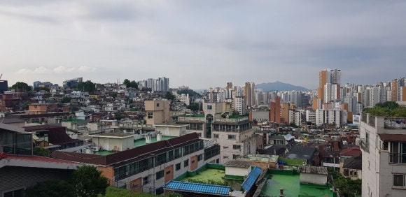 금화장 이미지
