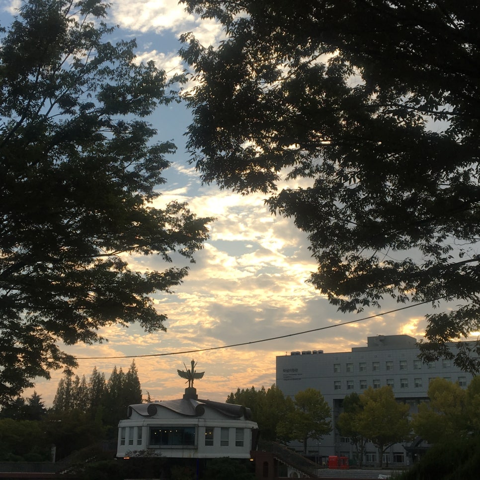 카페0919 이미지