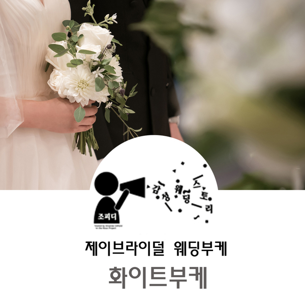 제이브 이미지